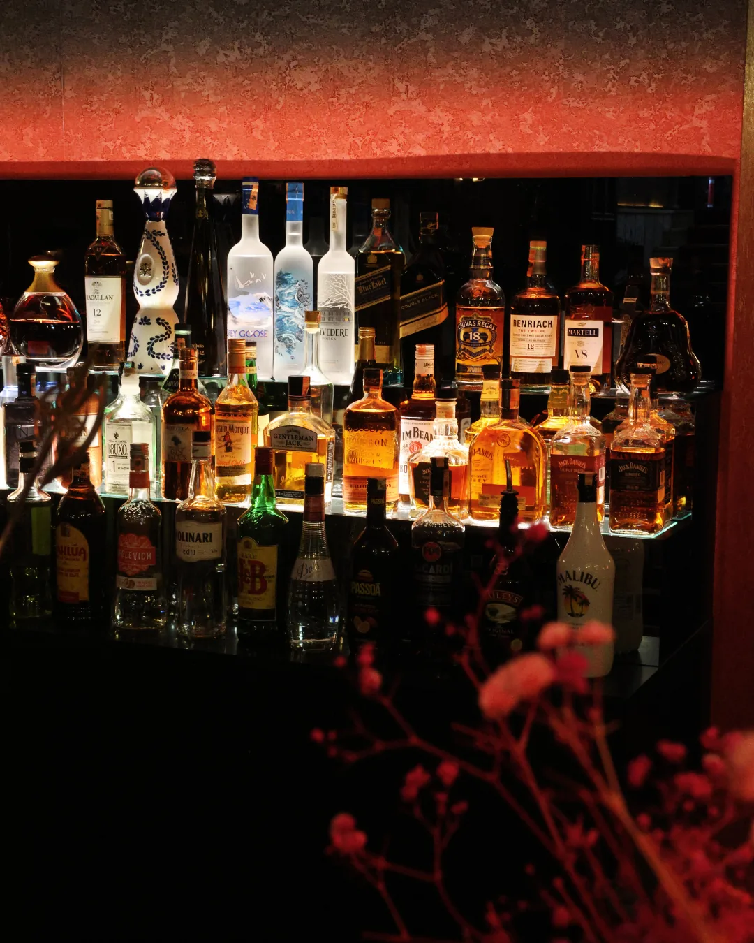 Back bar at Obscura cocktail bar in Blloku, Tirana, with lit shelves of whisky, vodka and tequila